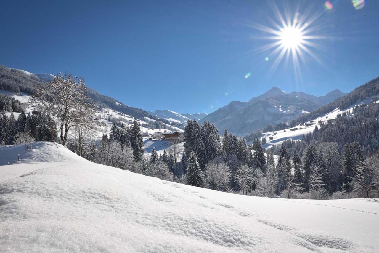 Apartament Jaegerhof Alpbach Zewnętrze zdjęcie